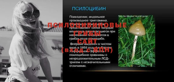 гидра Белоозёрский