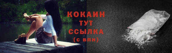 гидра Белоозёрский