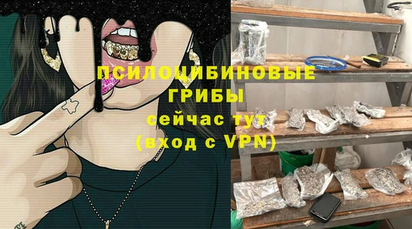 гидра Белоозёрский