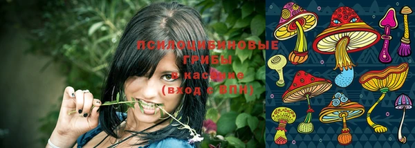 гидра Белоозёрский