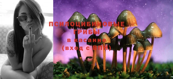 гидра Белоозёрский