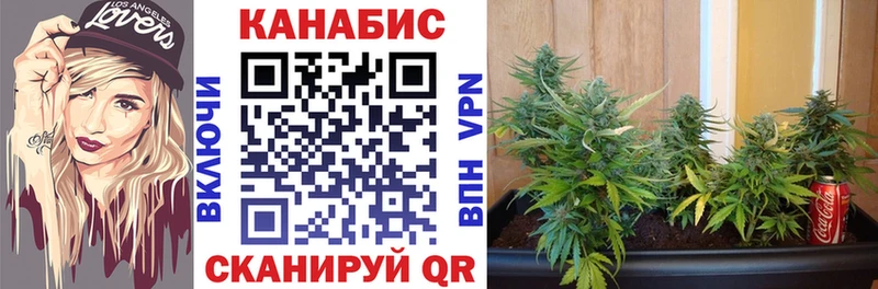 Бошки Шишки семена  Купить закладки  Бронницы 
